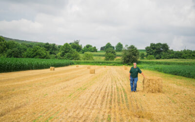 Advanced Nutrient Management Vouchers Available