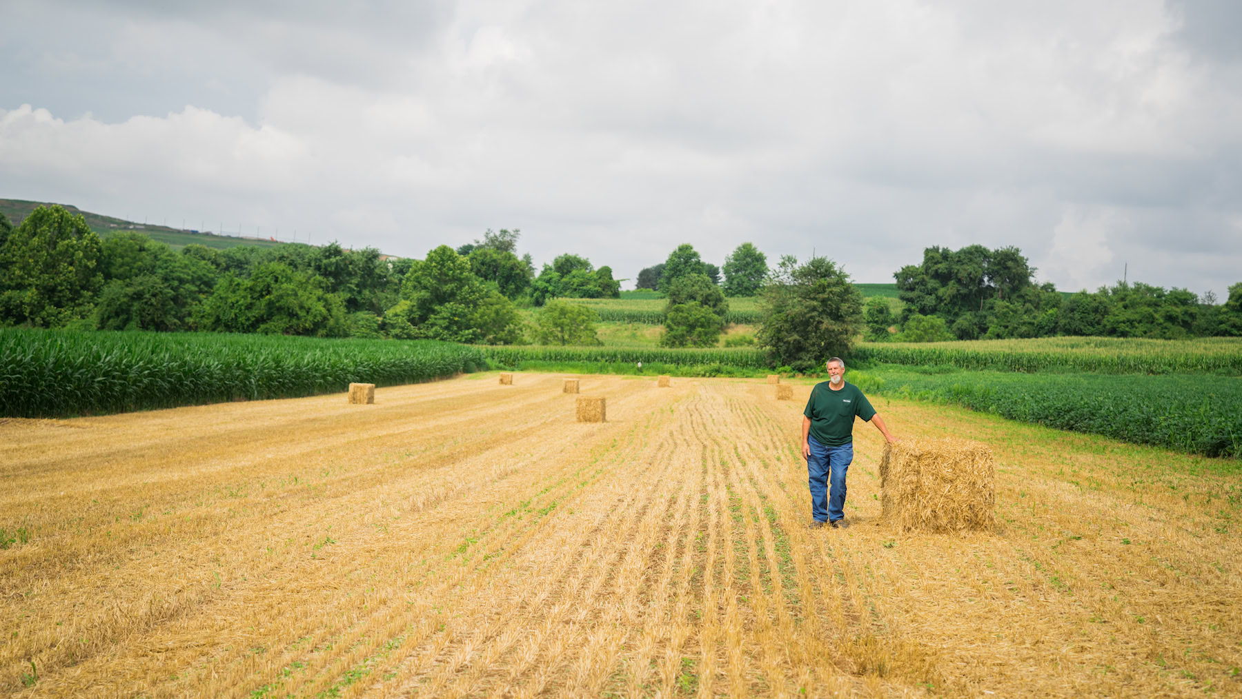 Advanced Nutrient Management Vouchers Available